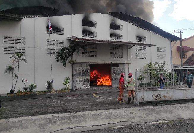 WhatsApp Image 2025 12 20 at 8.22.50 AM