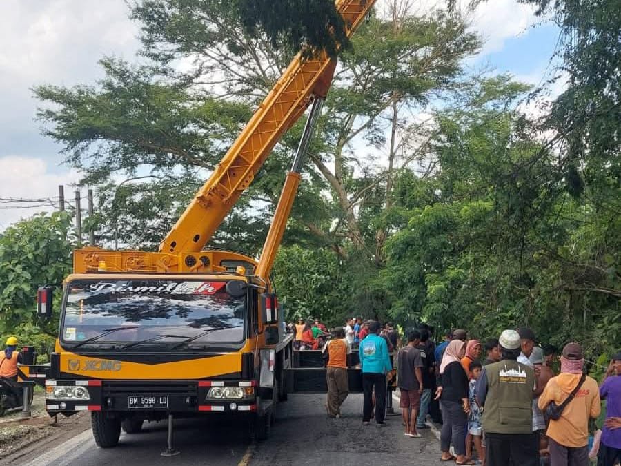 WhatsApp Image 2025 12 23 at 11.59.36 AM