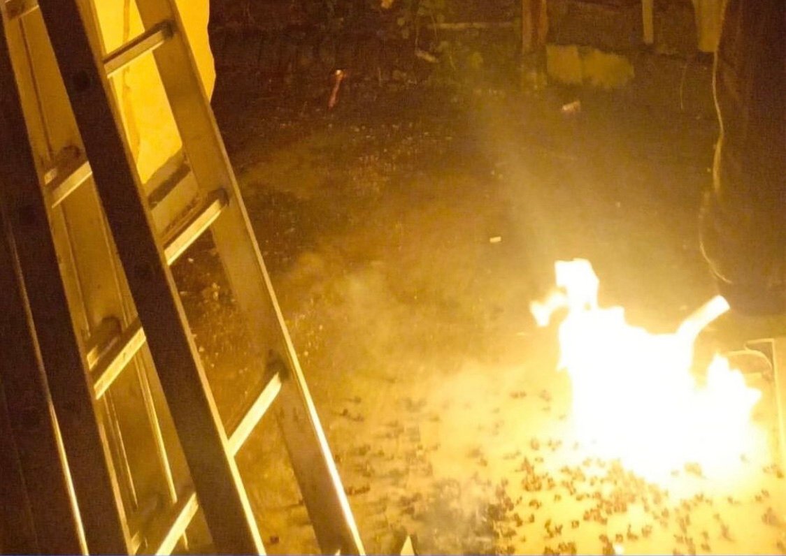 bee980f7 8468 4da7 92ca 349b4140a2ed