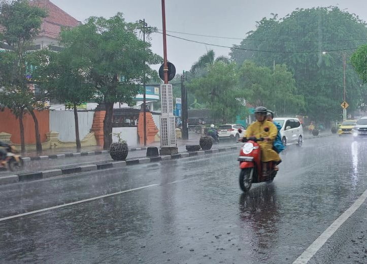 bfcf195d 1f6b 4340 9df0 cc211fe428bf