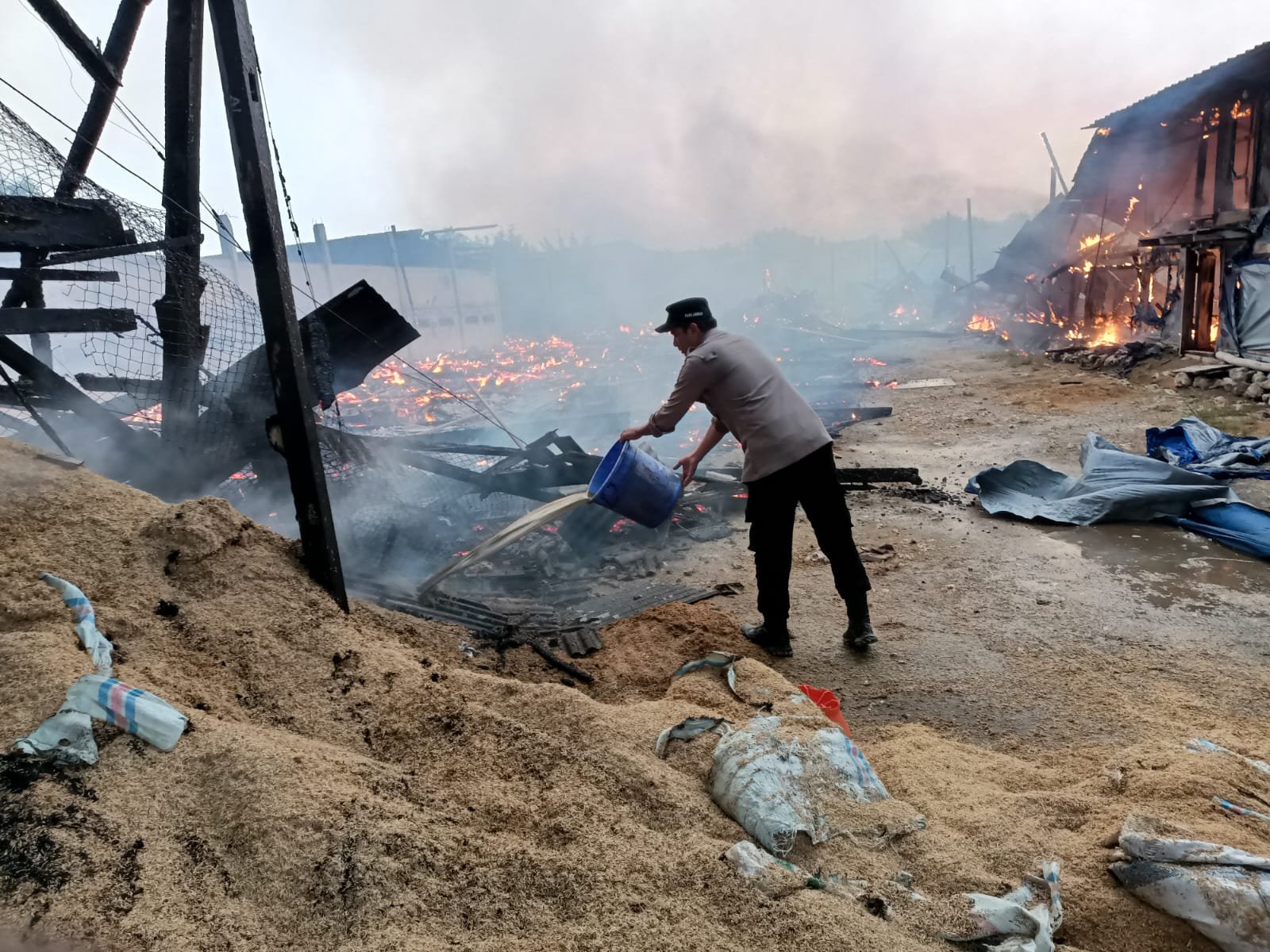 da8ef558 0e6f 449c 8b19 2602d0aef5b8