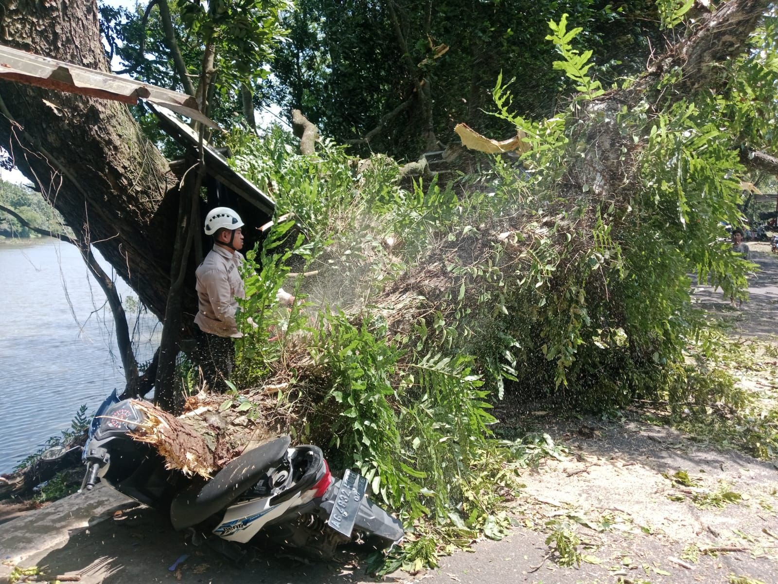 124a1b46 d1ba 4311 9e75 df2c5c0b6683