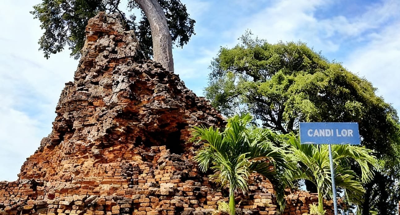 22a6f181 ee01 483c 9b58 af2a1e8c7e08