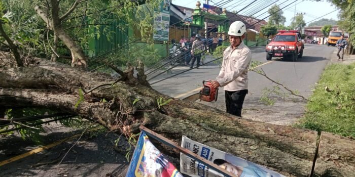 23759286 1849 4e0a 9cb2 6a6f898951df