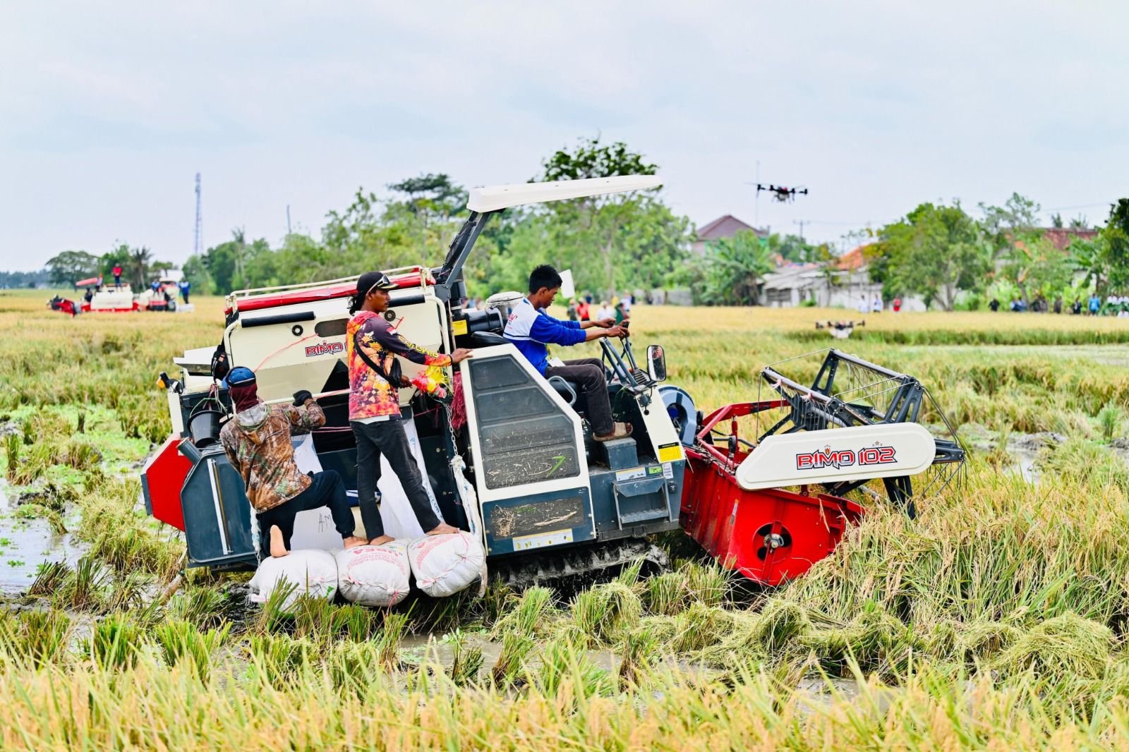 5e38ebad ac4f 49f6 b500 5b5b01282288