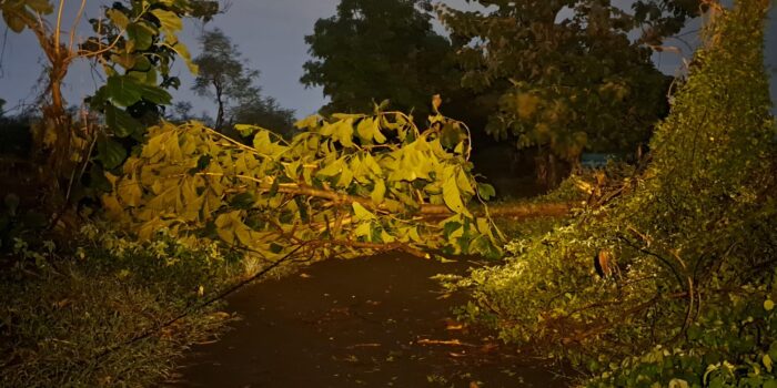 Hujan dan Angin Kencang Terjang Sidoarjo, 11 Rumah Rusak di 2 Kecamatan 1 804e9301 a1d1 4432 81c2 600c6a84d63f