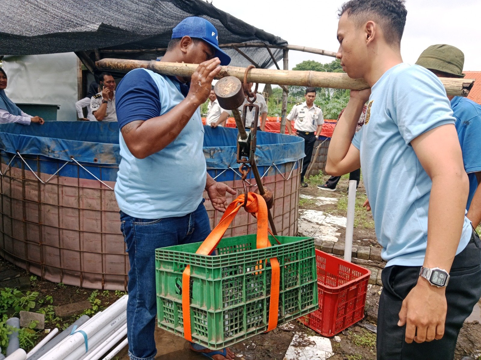 8a47a0dd 6398 47a4 891d 048a9a65ec96