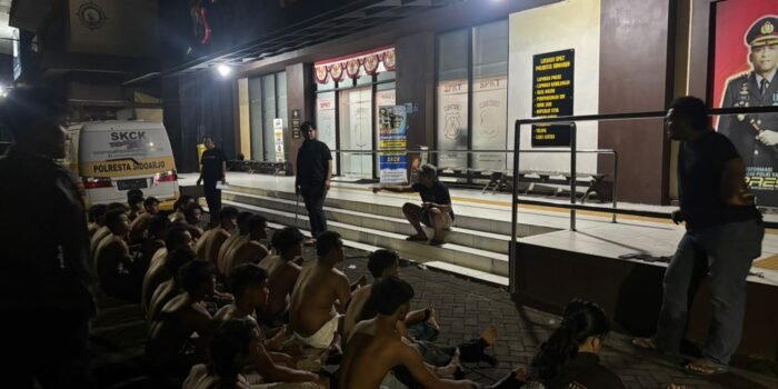 98e7288f 8d2e 48f1 8176 203d3648fa1c