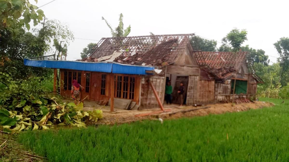 IMG 20260124 WA0001 1