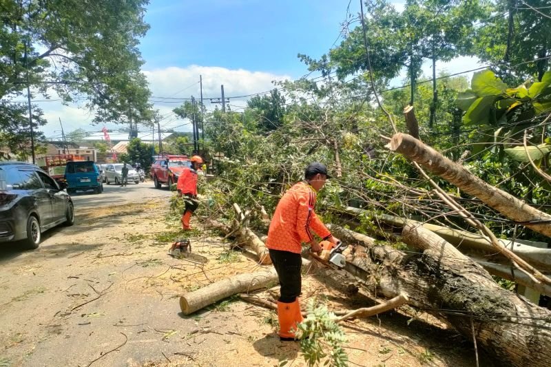 IMG 20260124 WA0025 1