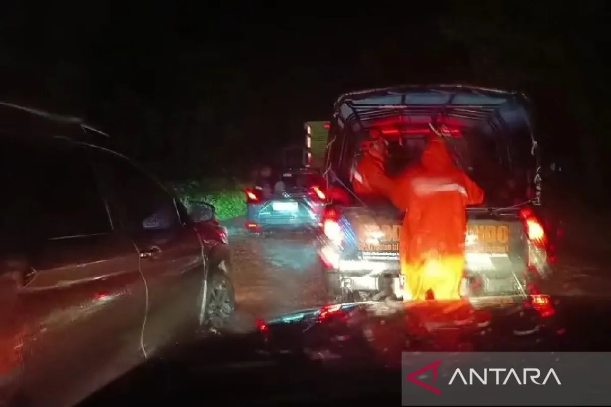 Resizer 17690058145511.jpg