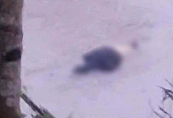 WhatsApp Image 2026 01 01 at 11.28.08