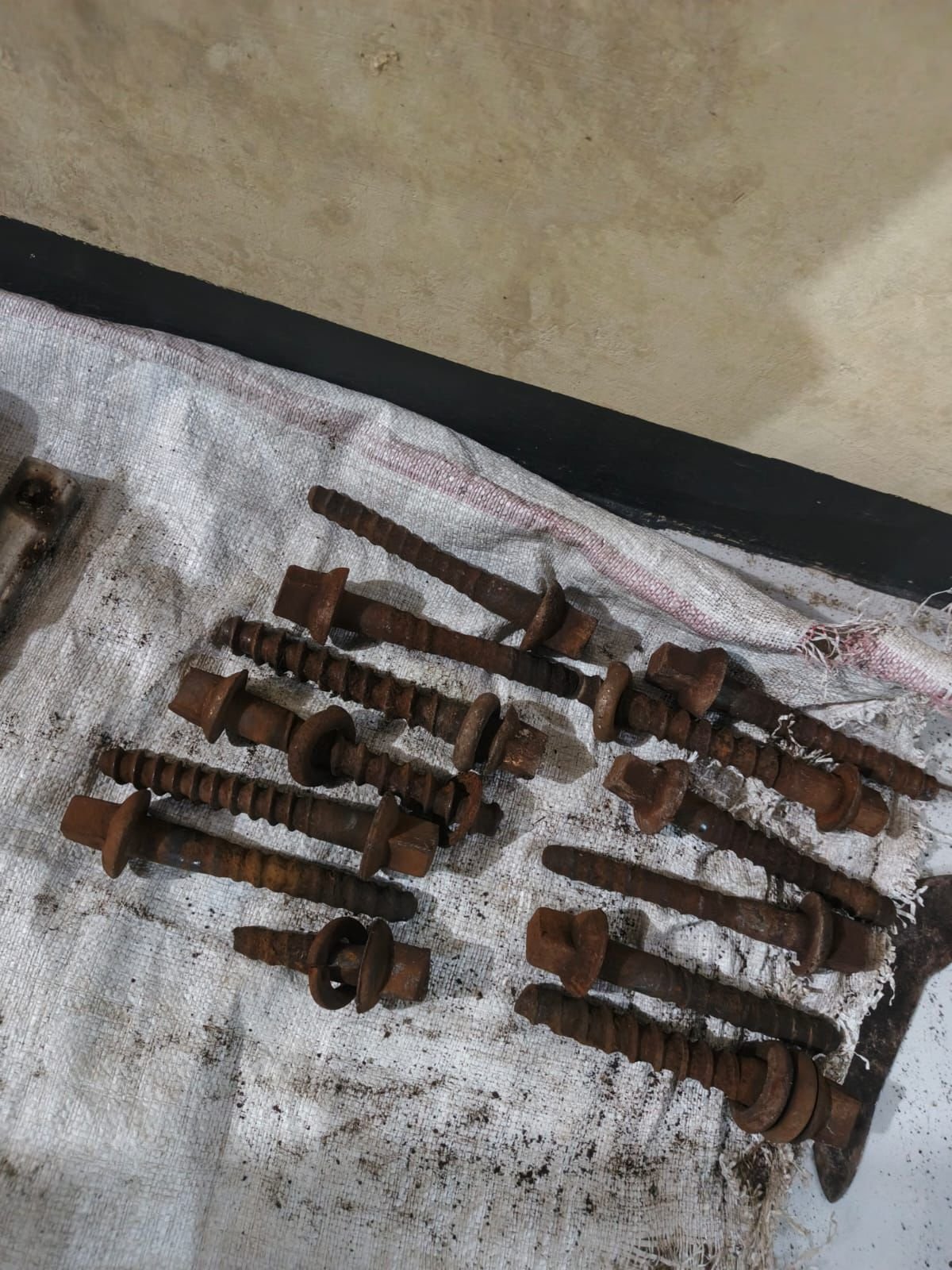 WhatsApp Image 2026 01 07 at 17.38.44