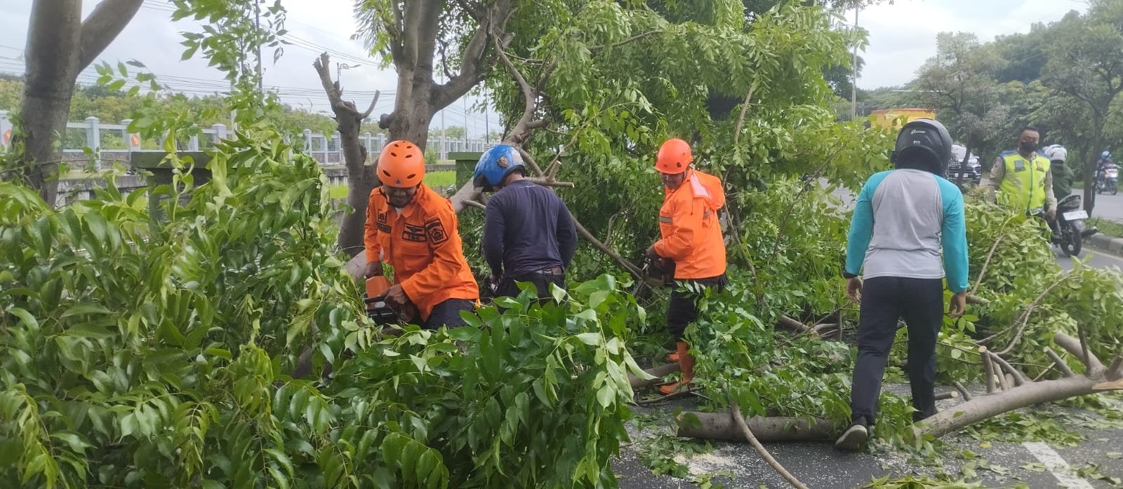 WhatsApp Image 2026 01 14 at 1.54.54 PM