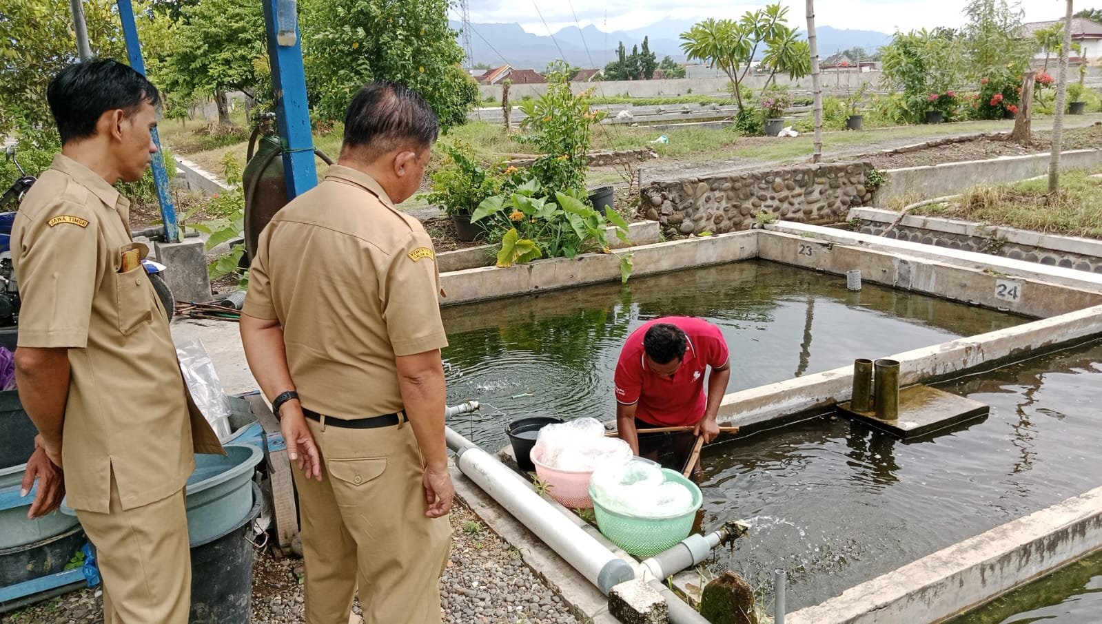 WhatsApp Image 2026 01 15 at 11.35.15 AM