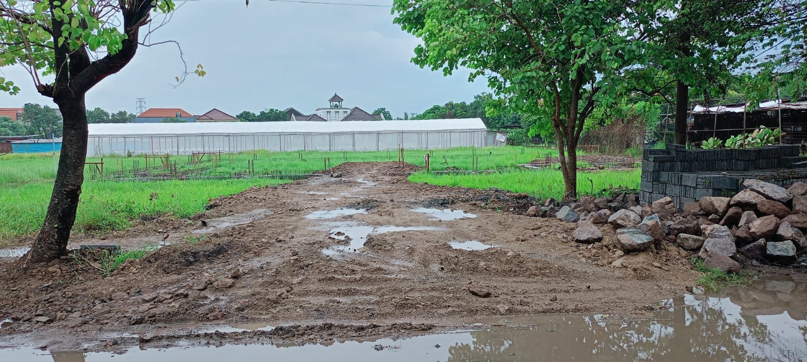 WhatsApp Image 2026 01 15 at 2.19.40 PM