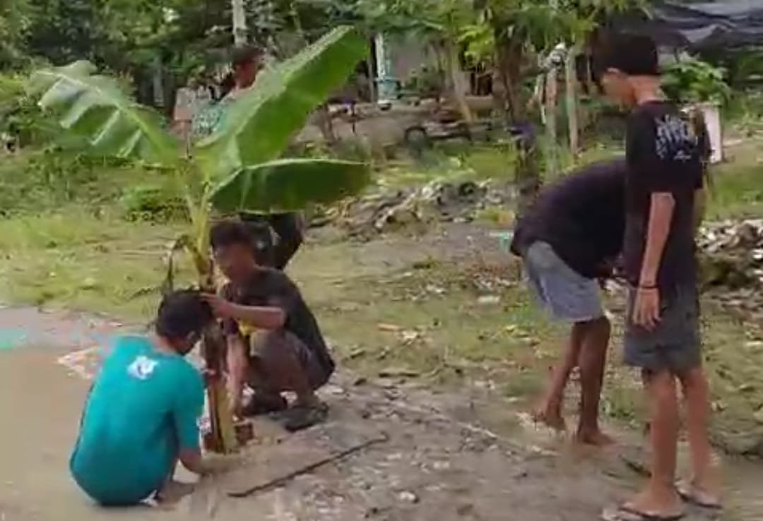 WhatsApp Image 2026 01 16 at 12.12.08