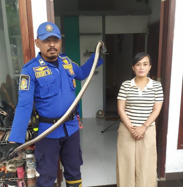 WhatsApp Image 2026-01-17 at 2.27.34 PM WhatsApp Image 2026 01 17 at 2.27.34 PM