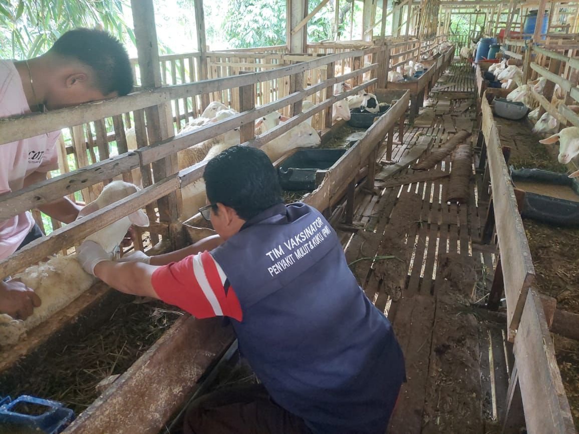 WhatsApp Image 2026 01 20 at 5.40.07 PM