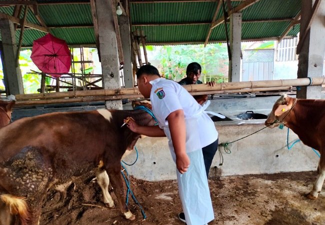 WhatsApp Image 2026 01 20 at 9.23.08 AM