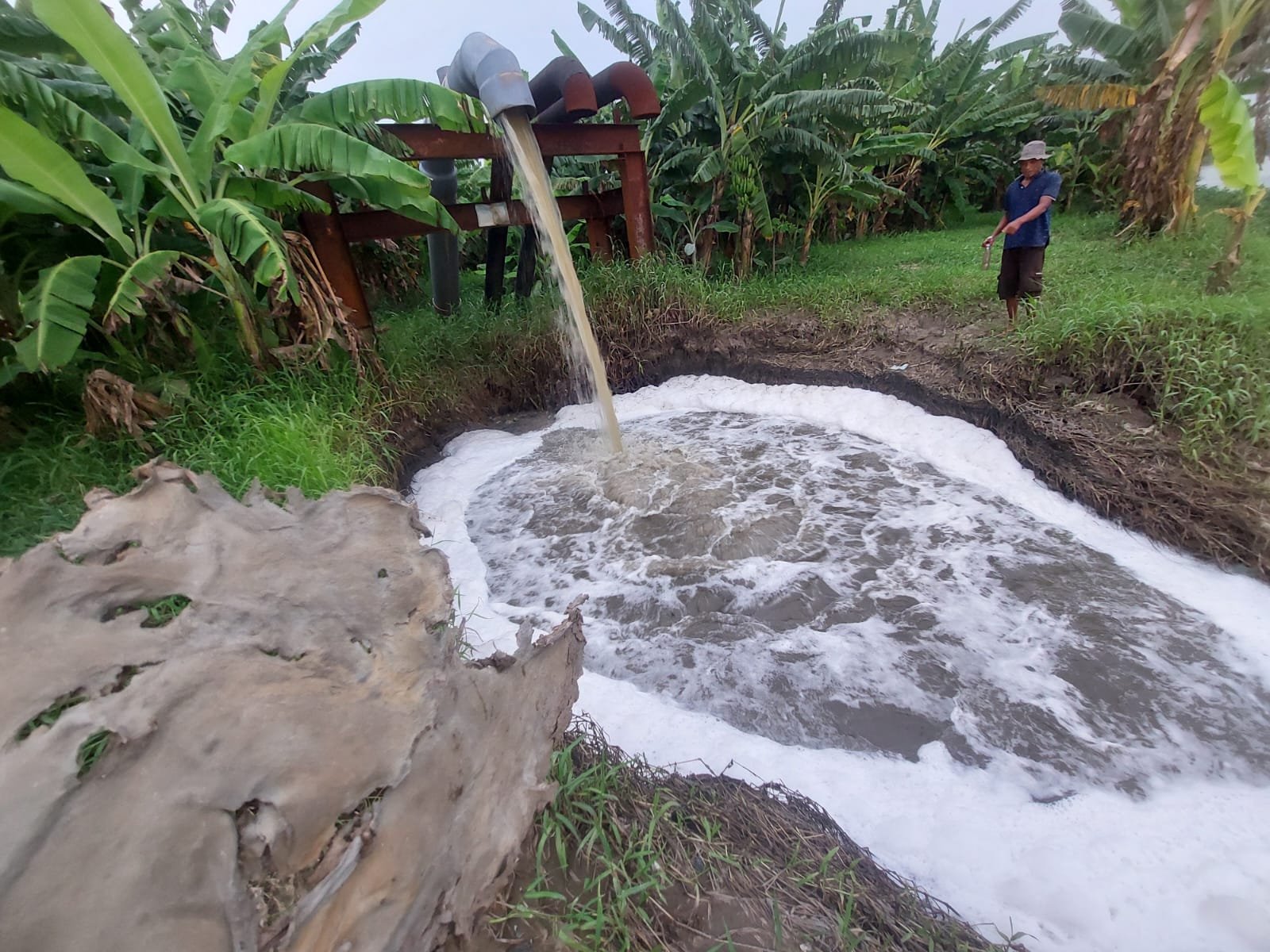 WhatsApp Image 2026 01 24 at 11.55.57 AM