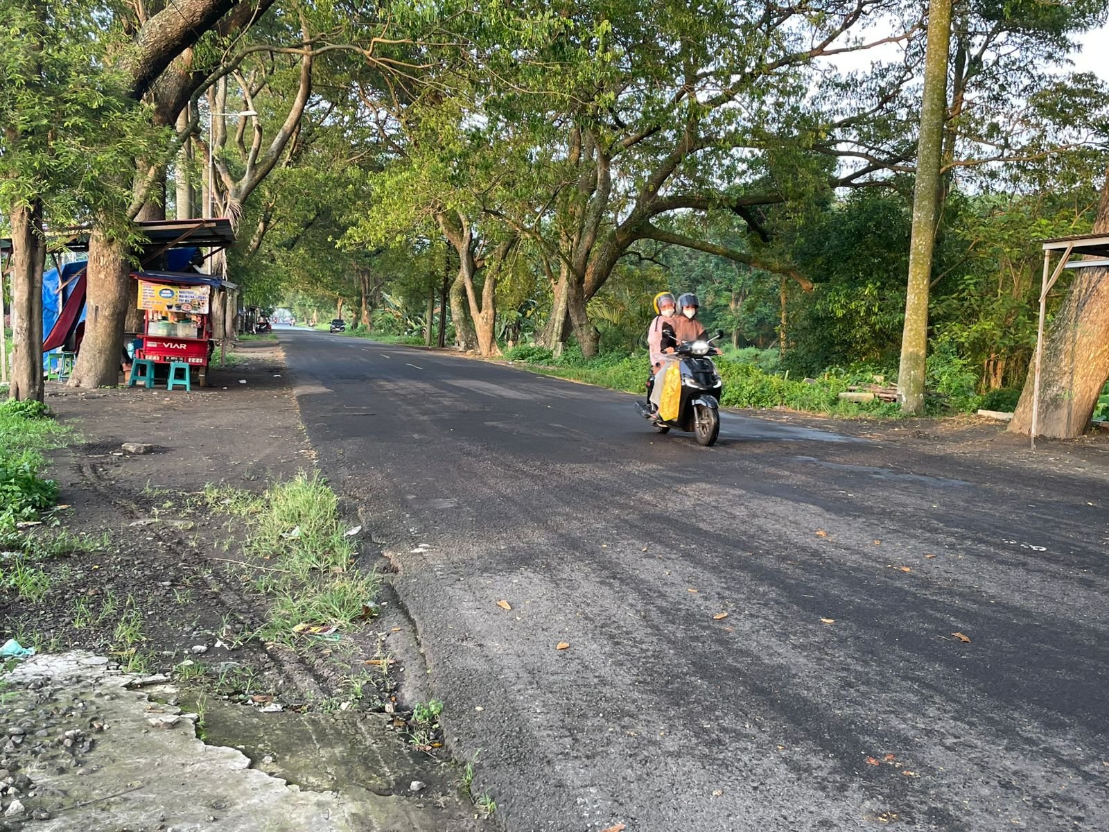 WhatsApp Image 2026 01 25 at 12.03.58 PM