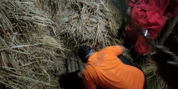 c12c1ec5 05f6 4423 b4d2 2db61fdccc5f