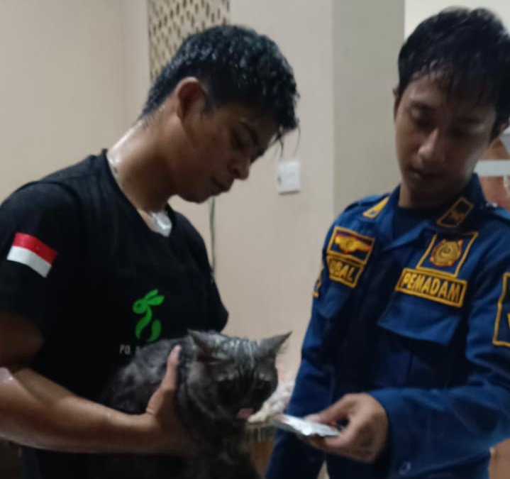 c7a28d21 dd7f 4875 b735 8c7325acb214