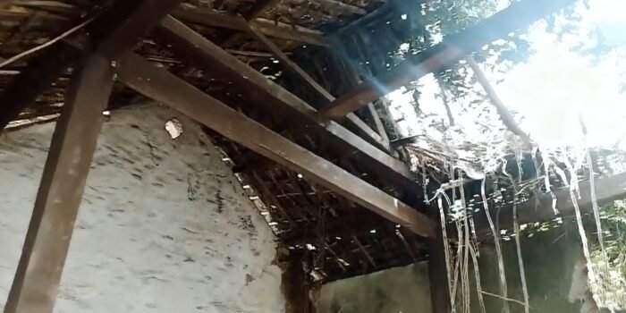 ebbc950f 18b0 47b7 9fdd 193bc704fadb