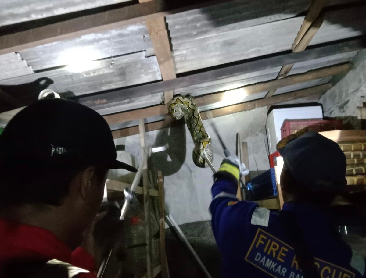 ed70520c 5a73 4cda ae29 625d073c1c41