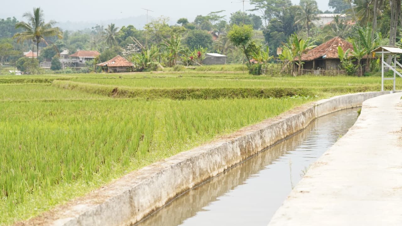 155a51bd 8177 4eb8 9fd7 df3ff858861d