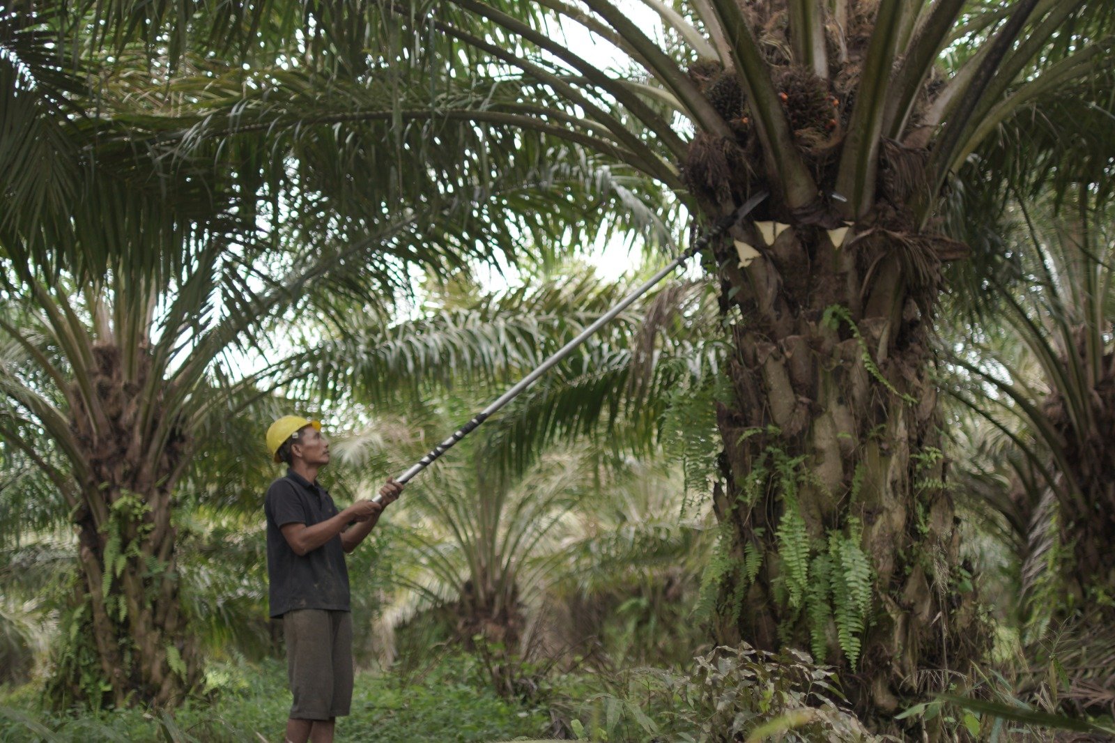 4118652d-6983-4c5b-a4e3-a738e059bc00