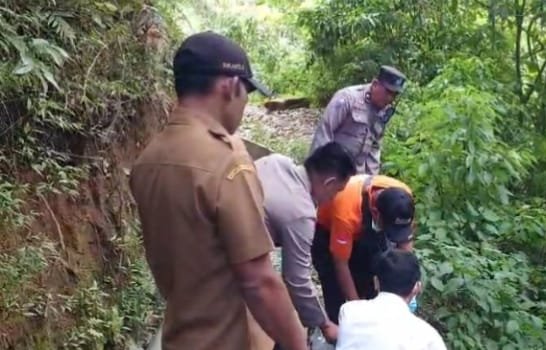 WhatsApp Image 2026 02 02 at 4.01.48 PM