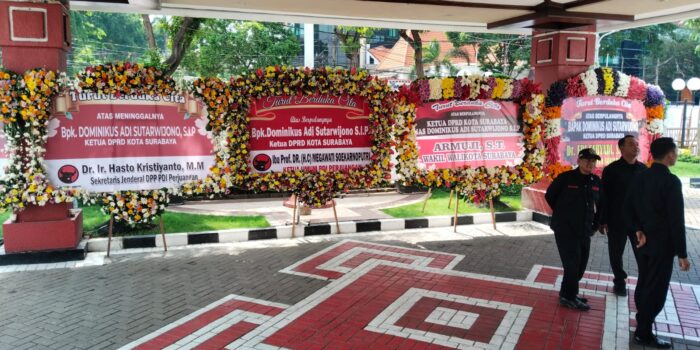 WhatsApp Image 2026 02 12 at 9.42.41 AM