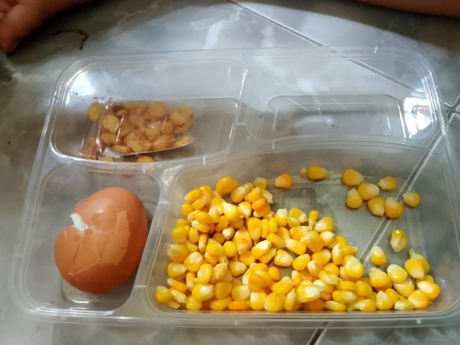 WhatsApp Image 2026-02-26 at 11.02.22 AM