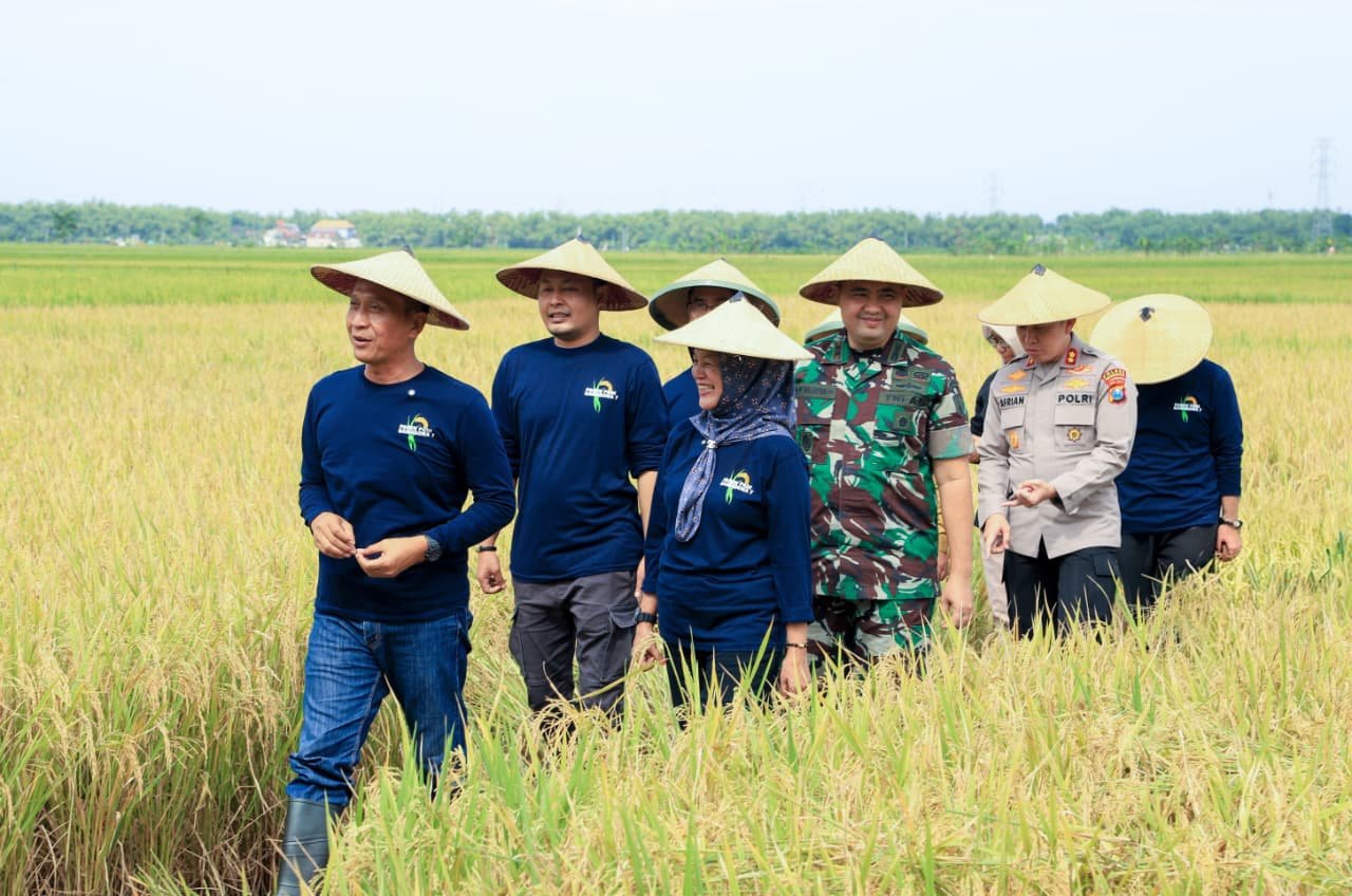 WhatsApp Image 2026 02 28 at 4.44.33 PM