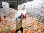 Stok beras Bulog Banyuwangi tembus 100 ribu ton, aman selama Ramadan