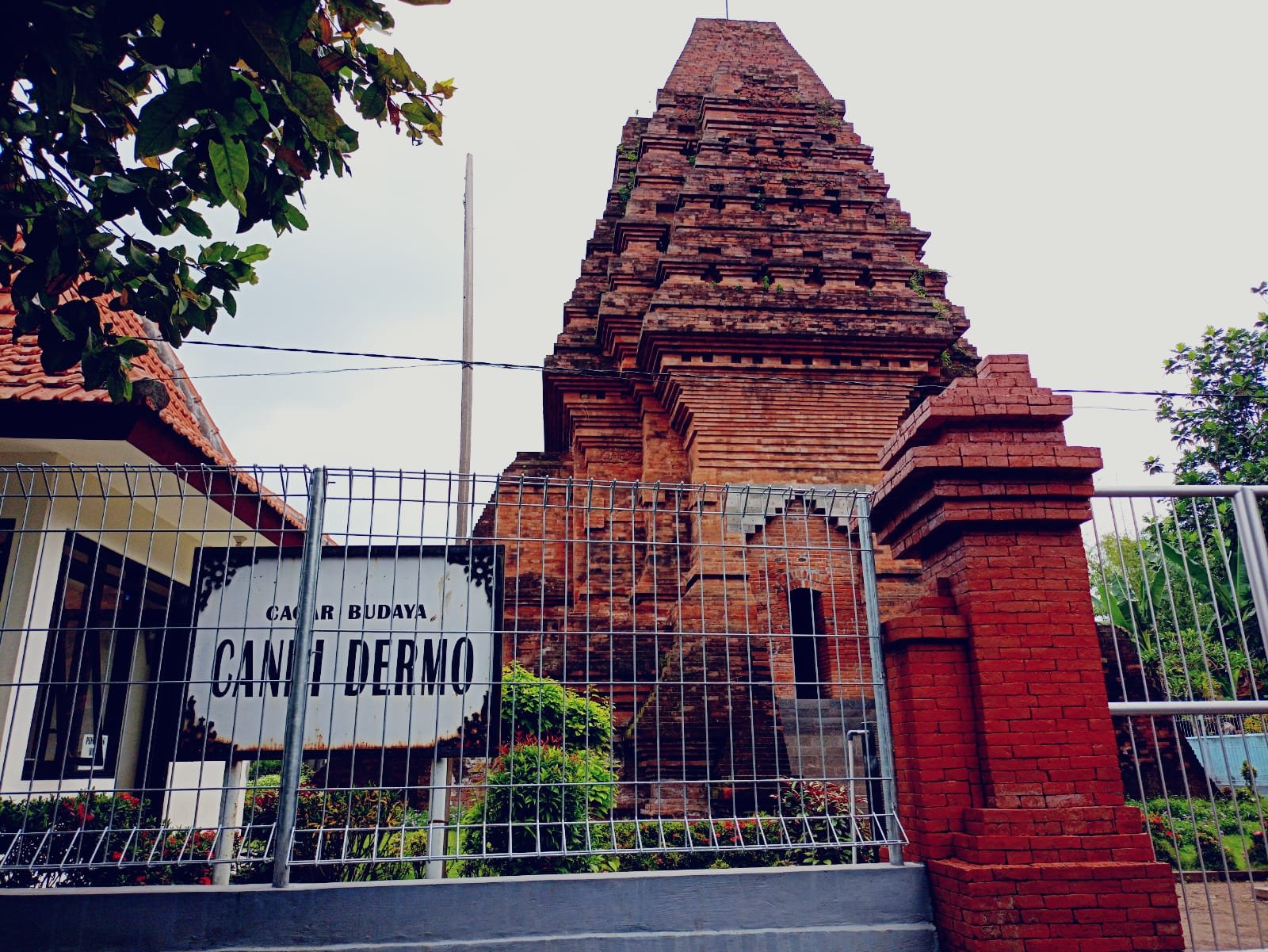 Candi Dermo 1