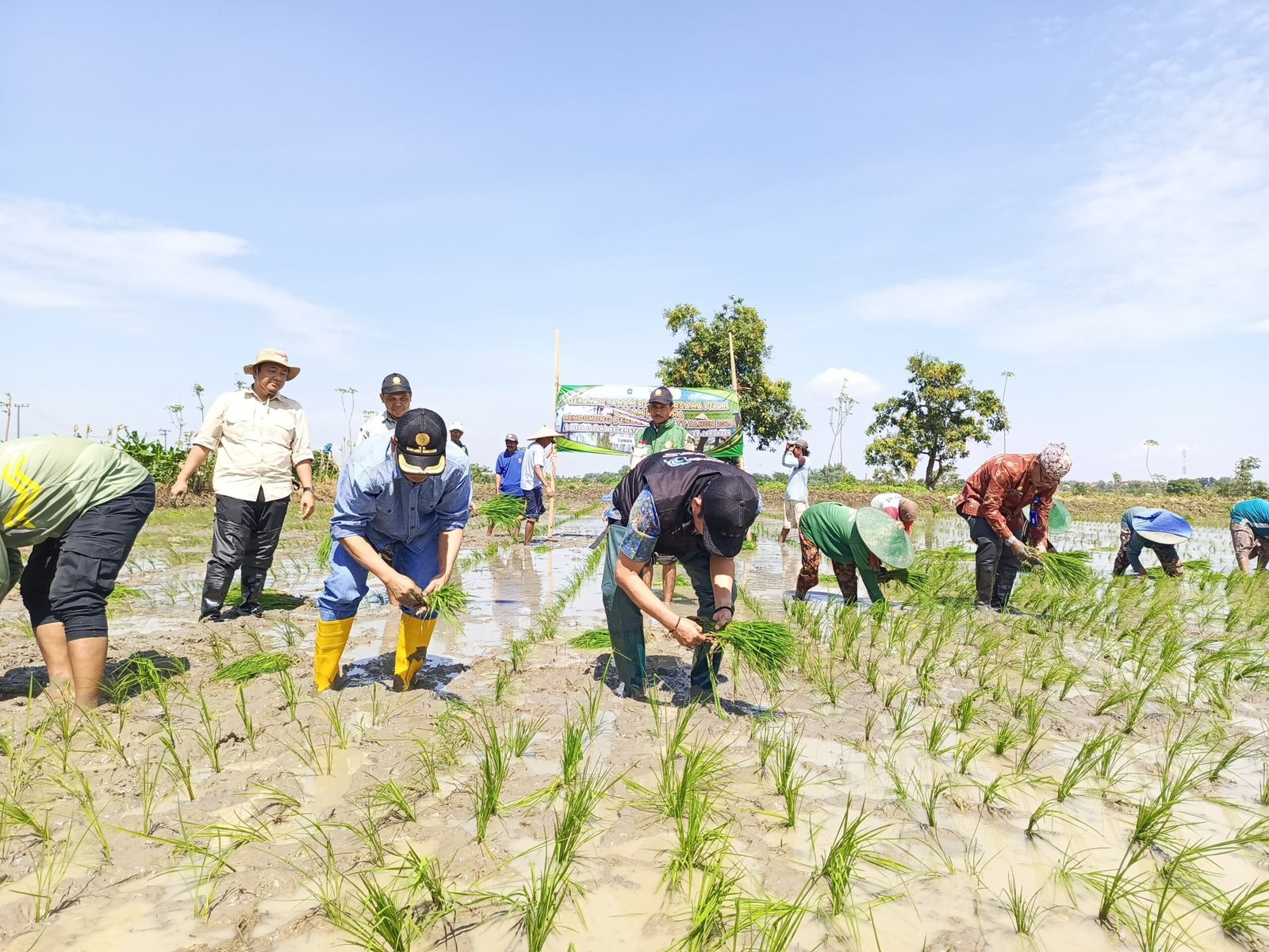 IMG 20260305 WA0037 1 scaled