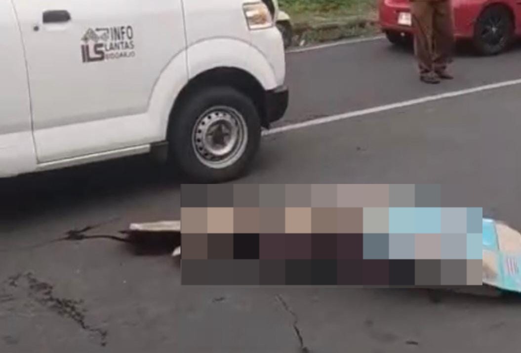 WhatsApp Image 2026 03 03 at 12.51.06 PM