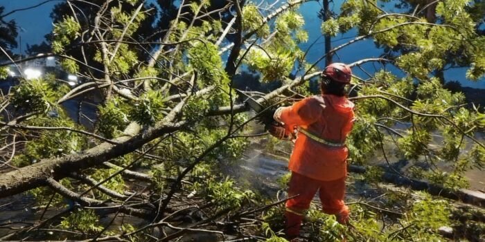 Hujan Angin Landa Nganjuk: Pohon Tumbang Bikin Lalin Macet, 2 Warga Terluka 1 WhatsApp Image 2026 03 04 at 10.08.57 PM 1