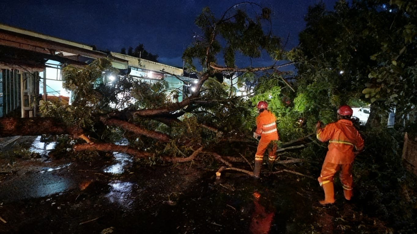 WhatsApp Image 2026-03-04 at 10.08.57 PM WhatsApp Image 2026 03 04 at 10.08.57 PM