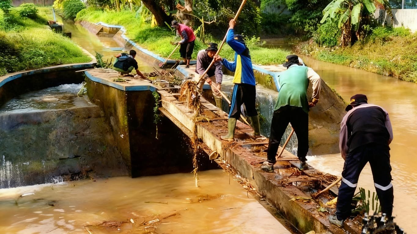 WhatsApp Image 2026-03-04 at 2.36.24 PM WhatsApp Image 2026 03 04 at 2.36.24 PM