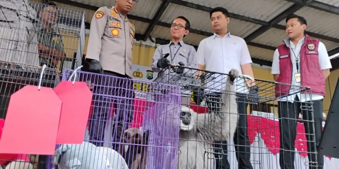 WhatsApp Image 2026 03 04 at 6.45.45 PM