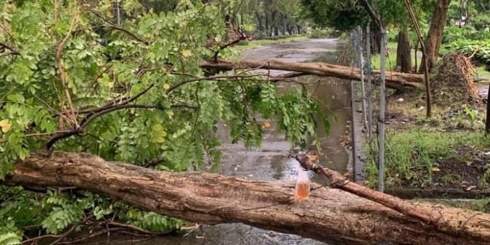 Angin Kencang Terjang Sidoarjo, Tembok Telkom Ambruk-Pohon Tumbang di Taman Pinang 1 WhatsApp Image 2026 03 04 at 7.46.58 PM