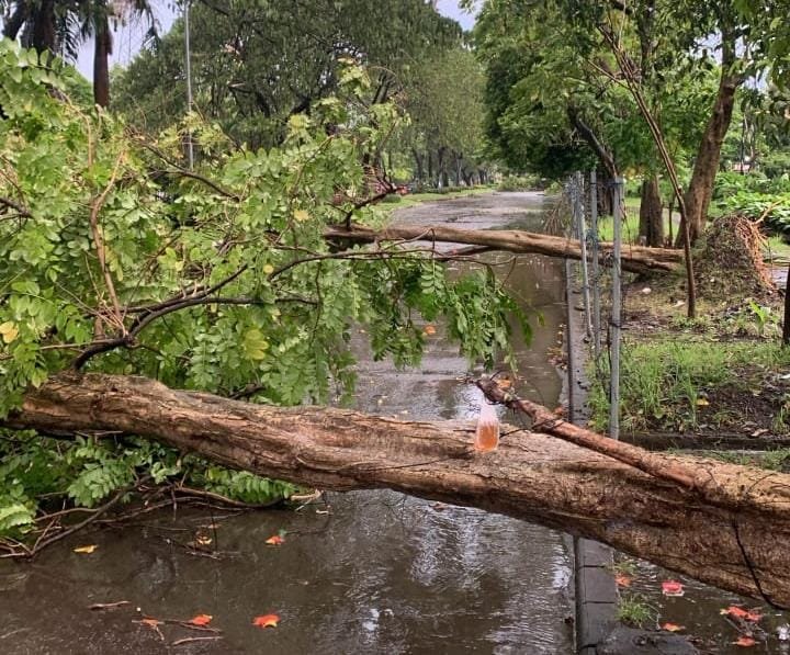 WhatsApp Image 2026 03 04 at 7.46.58 PM