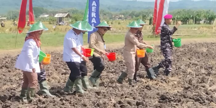 WhatsApp Image 2026 03 05 at 2.47.22 PM