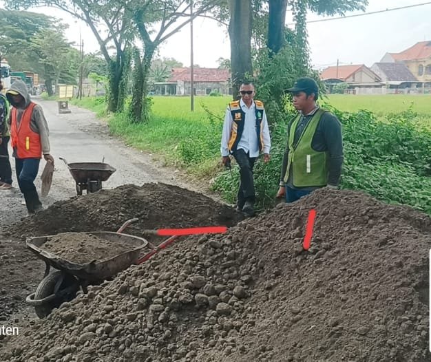 WhatsApp Image 2026 03 12 at 12.14.19 PM