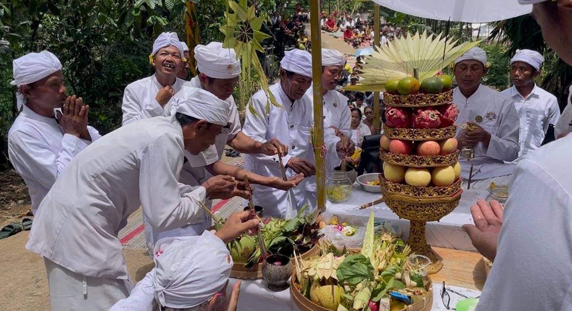 WhatsApp Image 2026 03 15 at 4.10.43 AM