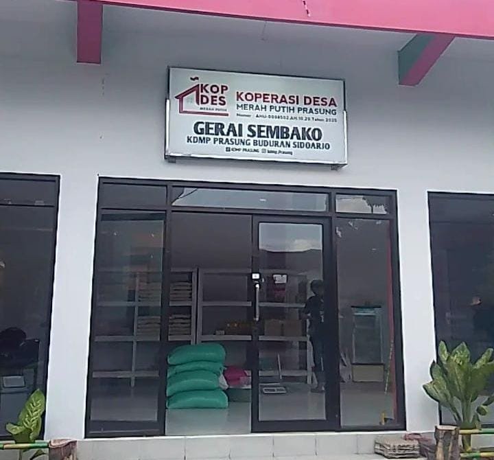 WhatsApp Image 2026 03 24 at 3.49.53 PM